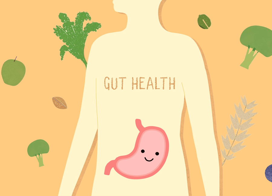 The Social Path to a Healthier Gut